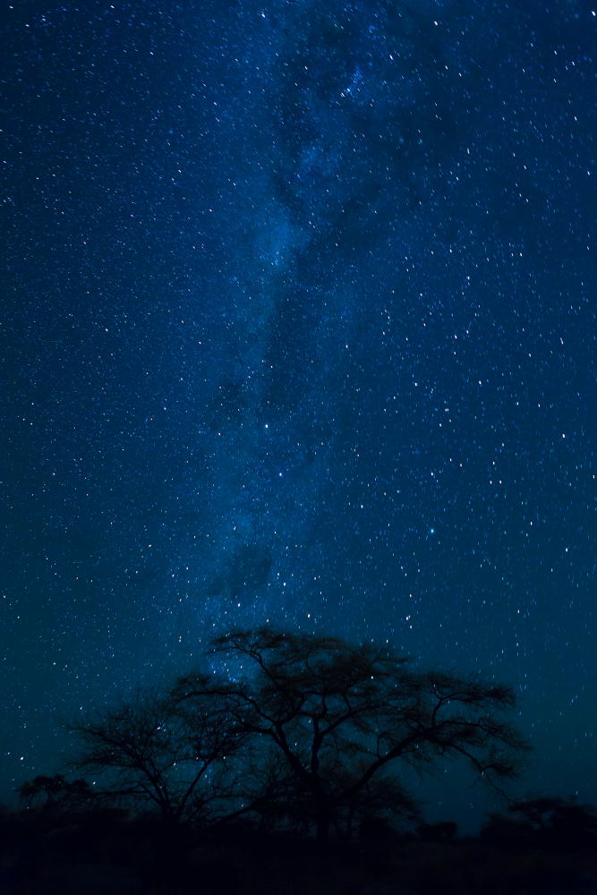 10. Platz Uwe Krause